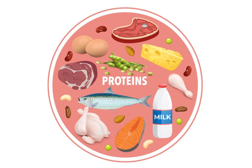 proteinele Lipovon